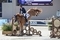 Britain holds pole position ahead of European team jumping finale